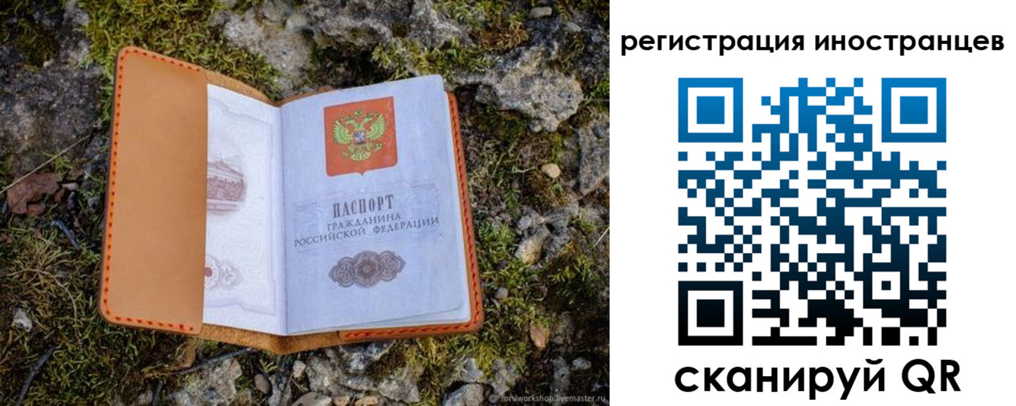 прописка паспорт в Берёзовском